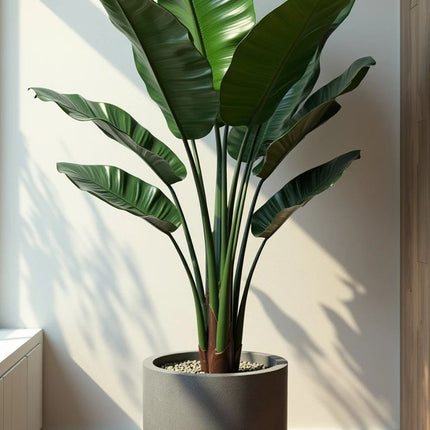 Collection image for: Artificial Plants FRS