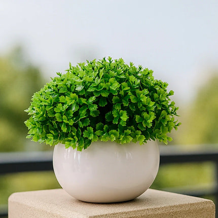 Collection image for: Plants