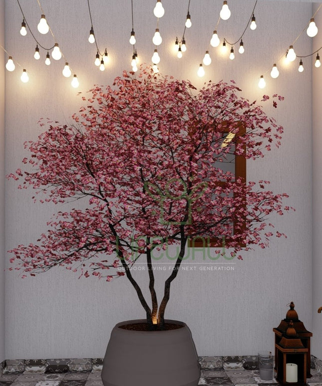 Ms. Rina | Terrace Garden Design