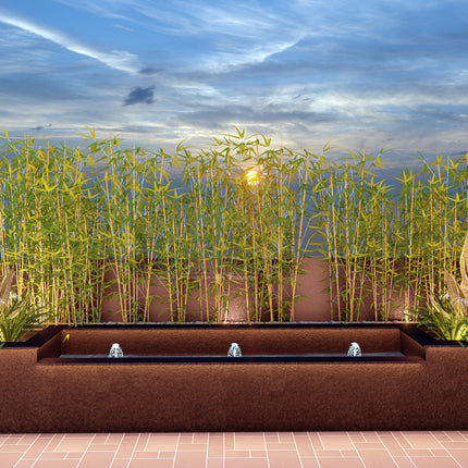 Mr. Ashok Narula | Terrace Garden Design