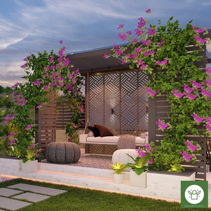 Futura Falls Pergola GL (Per Sqft)