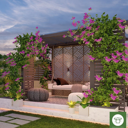 Mr. Avni Sood | Terrace Garden Design