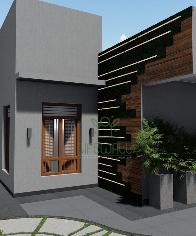 Mr. Suseem | Terrace Garden Design