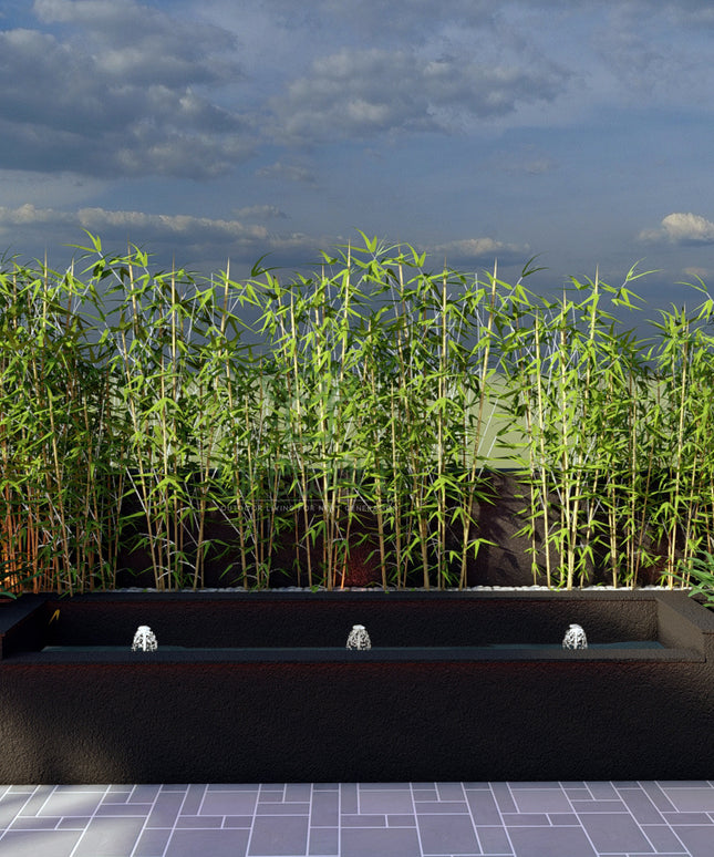 Contemporary Sprouting Fountain (Per Nozzle)