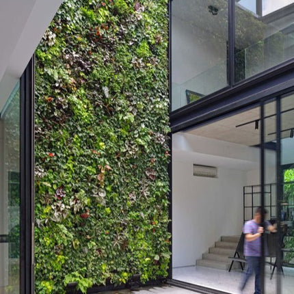 Garden Luxe Feature Wall