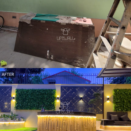 Mr. Akshay Tripathi | Terrace Garden | Gurgram