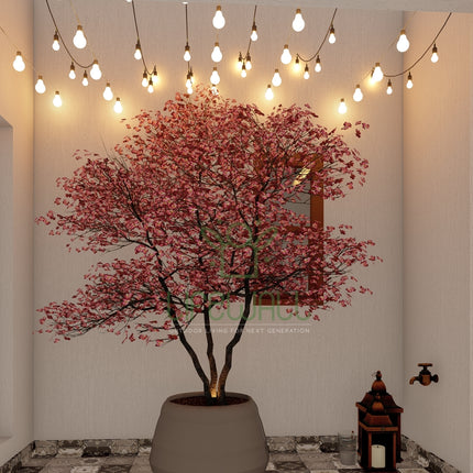 Ms. Rina | Terrace Garden Design