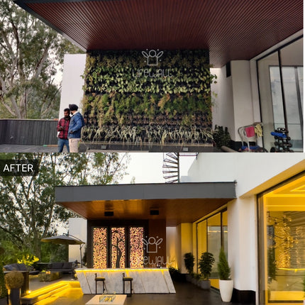 Mr. Krishnan | Terrace Garden | New Delhi