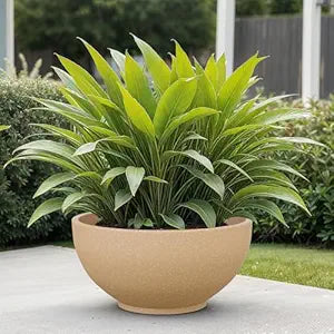 The Plant Loft Planter