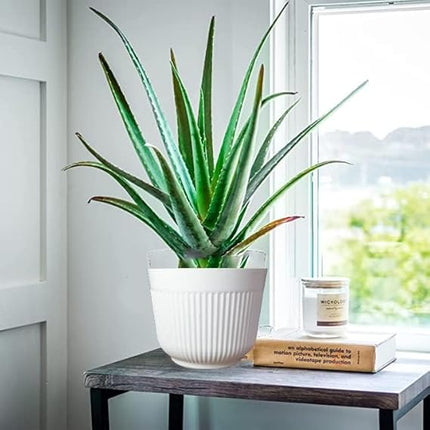 Simplistic 12 Inch Flower Pots Big Size Planters Indoor & Outdoor Home Gardening Pots for Plants Plastic Gamla for Flowers, Herbs, Cactus Plant Pots (Pack of 6, White)