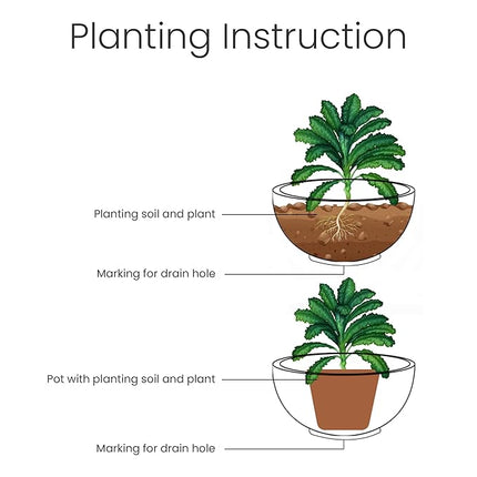 The Plant Loft Planter