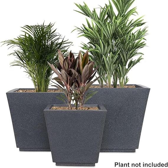 Evergreen Elegance Planter