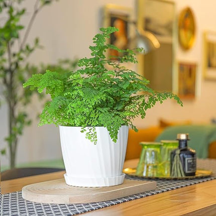 Spiral Flower Pots for Plants, Home Indoor & Outdoor Planters, Terrace, Garden Etc | Pack of 05 | White | Plastic | 07 inch X 6.5 inch