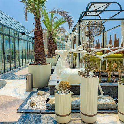 Mr. Kunal Jagi | Terrace Garden | Noida