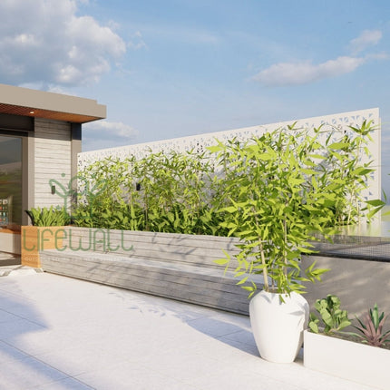 Mr. Jaspal | Terrace Garden Design