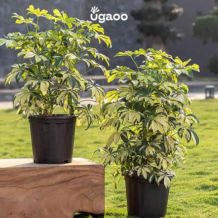 Plastic Planters Treated Gardening Pots and Planters for Plants (Per Piece)