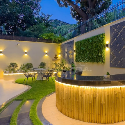 Mr. Akshay Tripathi | Terrace Garden | Gurgram