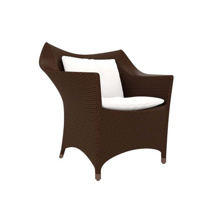 Contoured Woven Accent Sofa FRS (LWLC)
