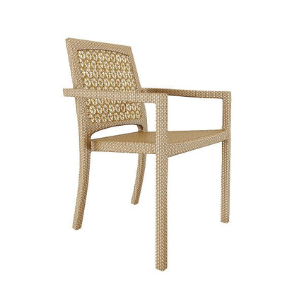 The Ribbon-Wrap Architectural Chair FRS (LWLC)