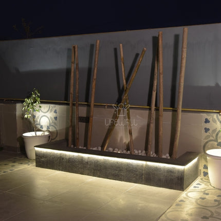 Mr. Maan Sharma | Terrace Garden | New Delhi