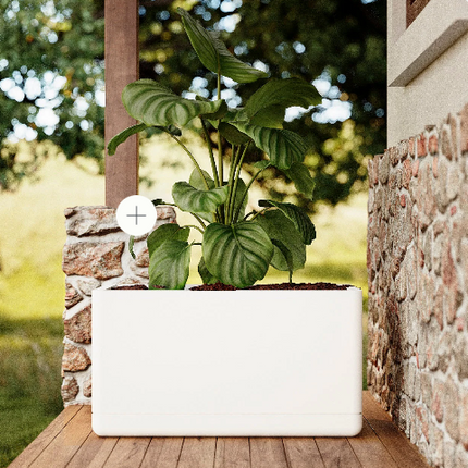 Cuboidal Planter (Per Piece)