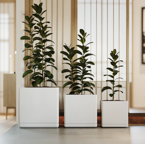 Cubical Planter (Per Piece)