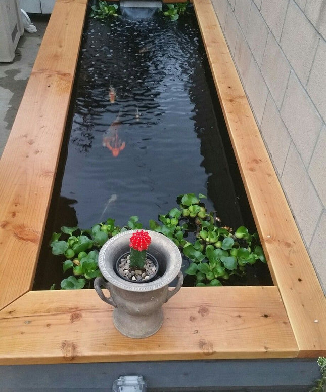 Fountain Watertank FS